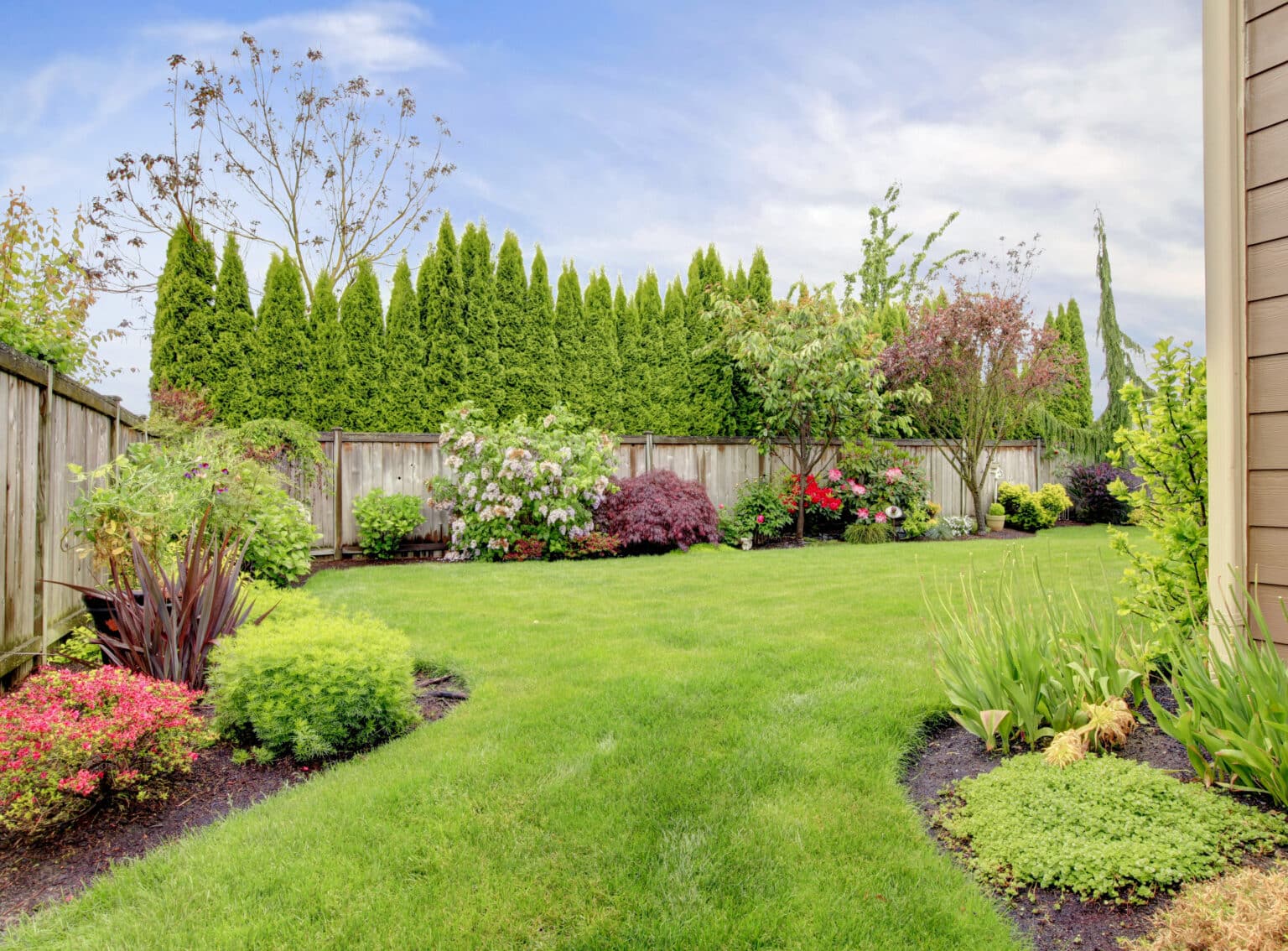 Fenced,Backyard.,View,Of,Lawn,And,Blooming,Flower,Beds